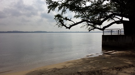 The Brownstone EC near Sembawang Park