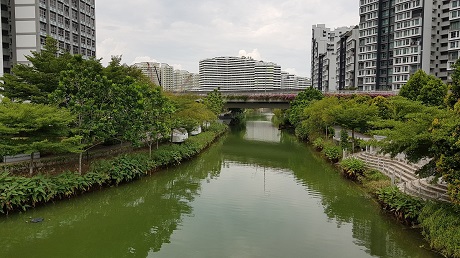 My Waterway @ Punggol beside Piermont Grand EC